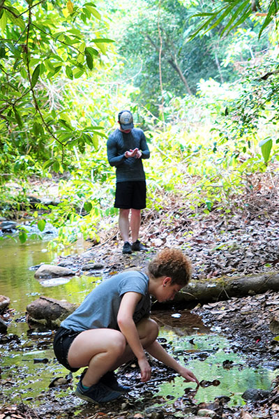 Invertebrate Sampling