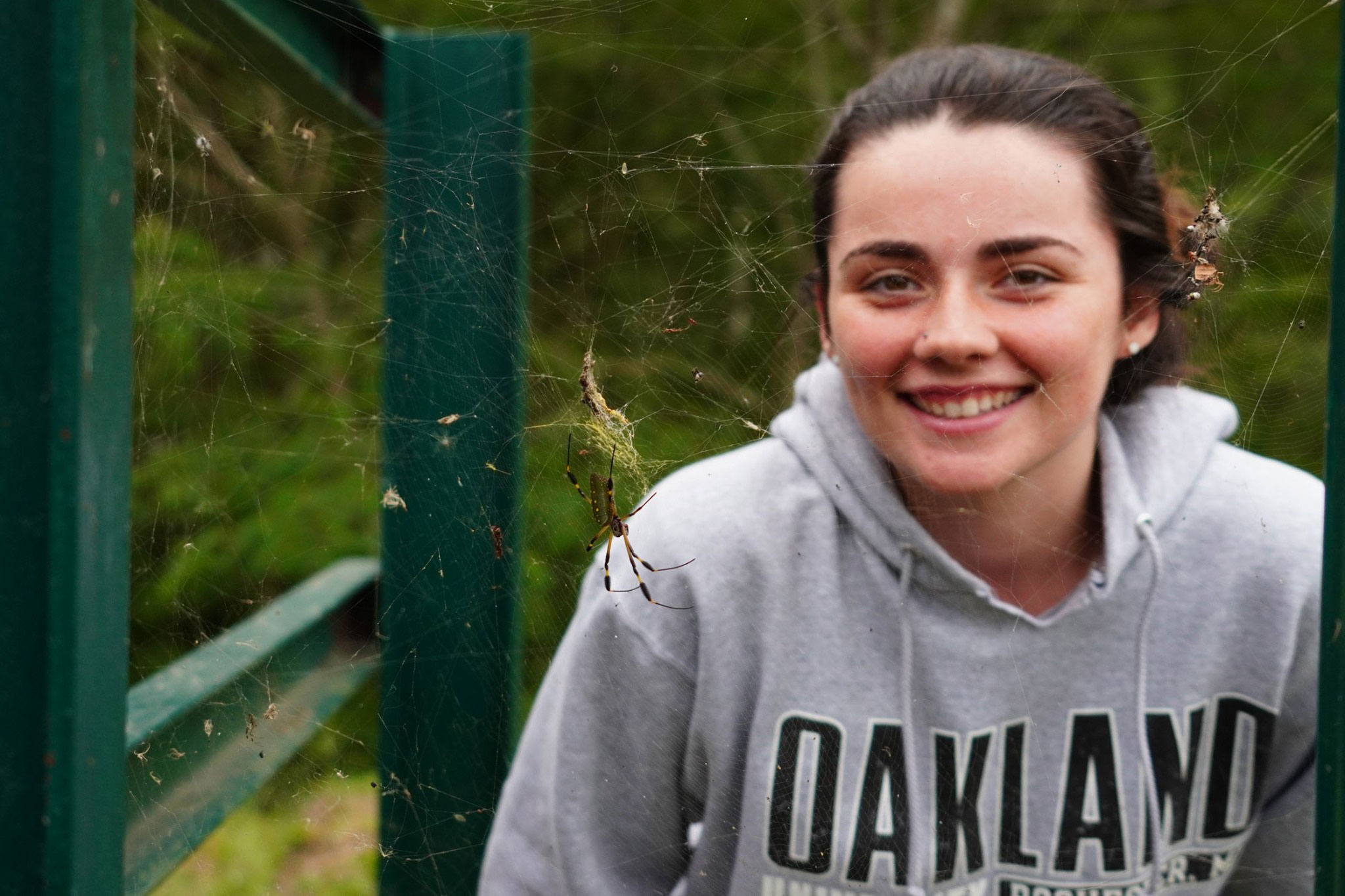 Macy Jackson and Golden Orb Weaver spider