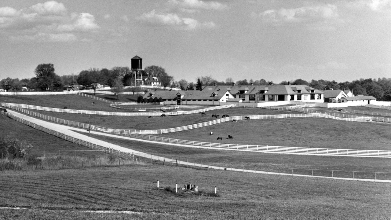 Meadow Brook Farms