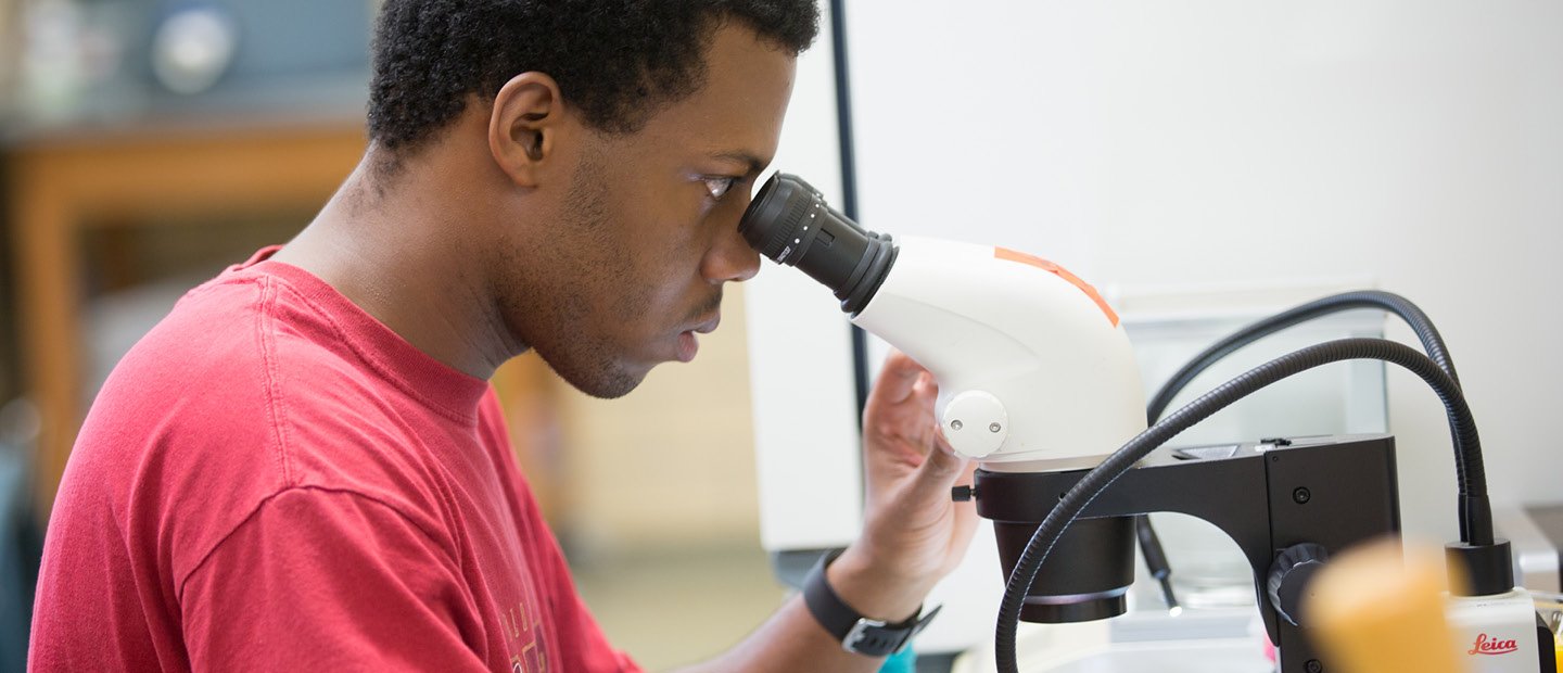 BIO-22752_UndergraduatePrograms.jpg A man looking into a microscope.