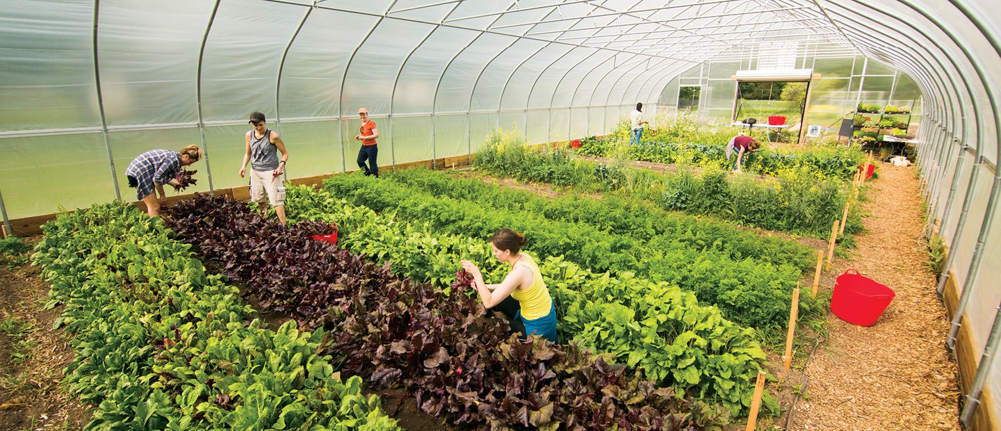 Biology - Campus Student Organic Farm Page Banner Biology - Campus Student Organic Farm Page Banner