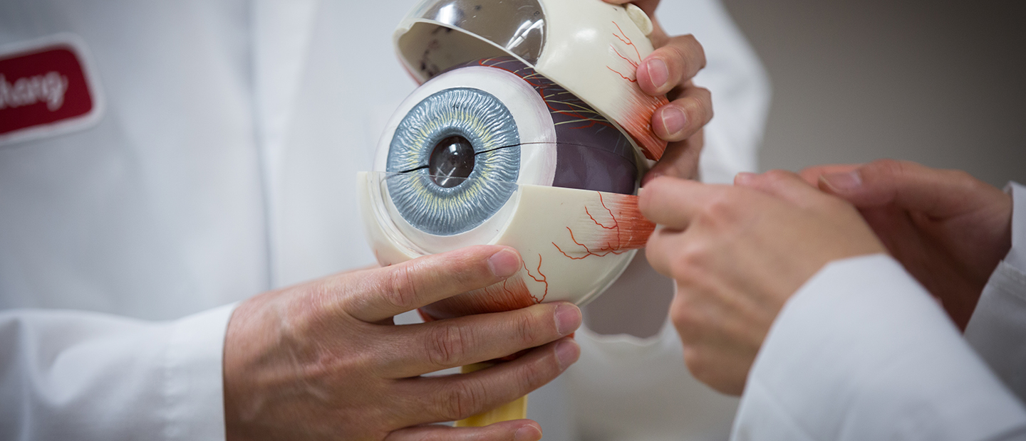 Directory Banner person holding a large model of an eye