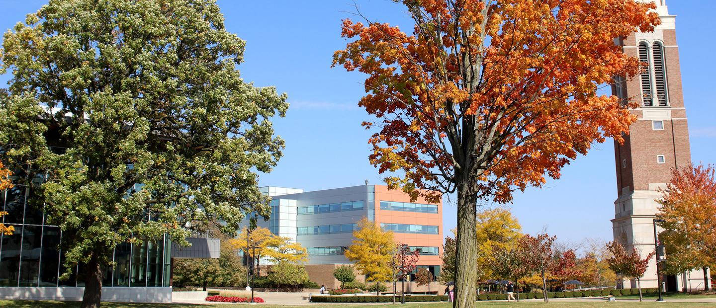 Grad Development Banner Trees on OUs campus