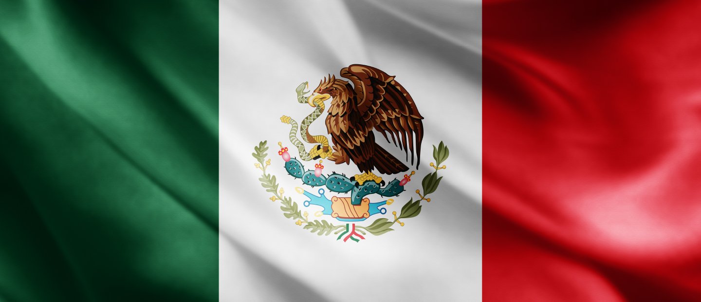 UCM-17181_Banners_canadianstudent_instatetuition.jpg Mexican flag, eagle with a snake in its mouth perched on a cactus centered in a white background, green section to the left, red section to the right