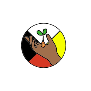NAAC graphic
