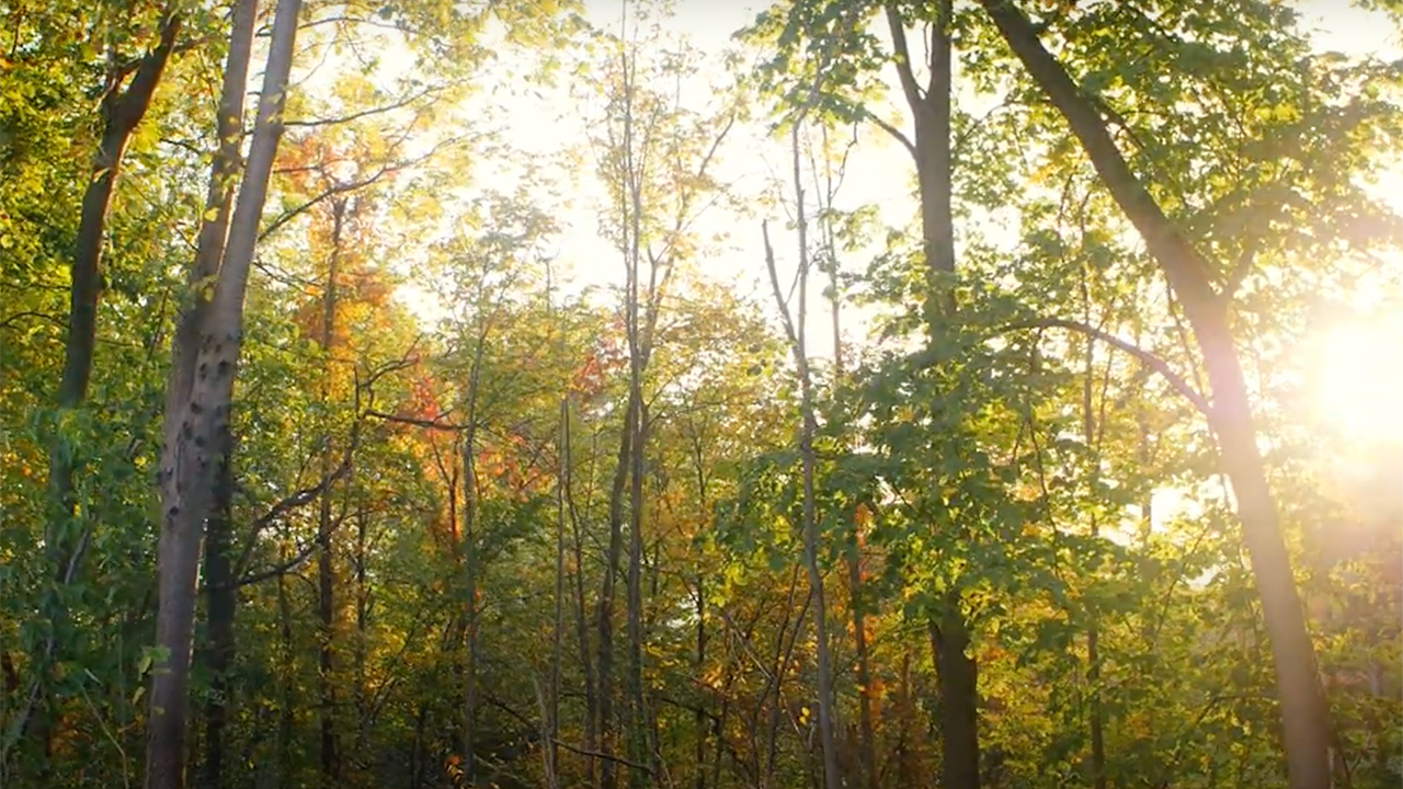 new outdoor classroom