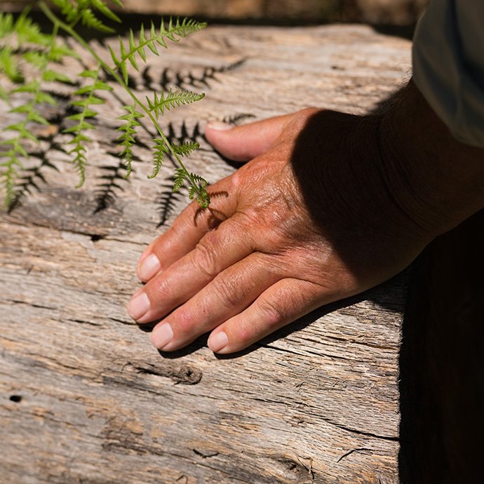 A hand on wood