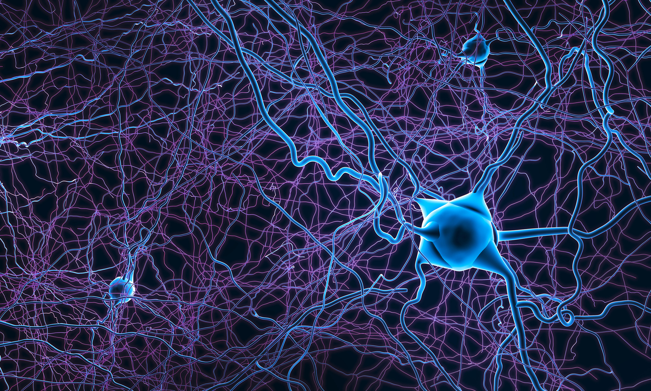 Stock photo of cells