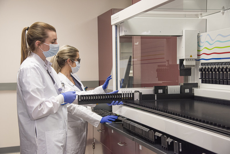 An image of students in a lab