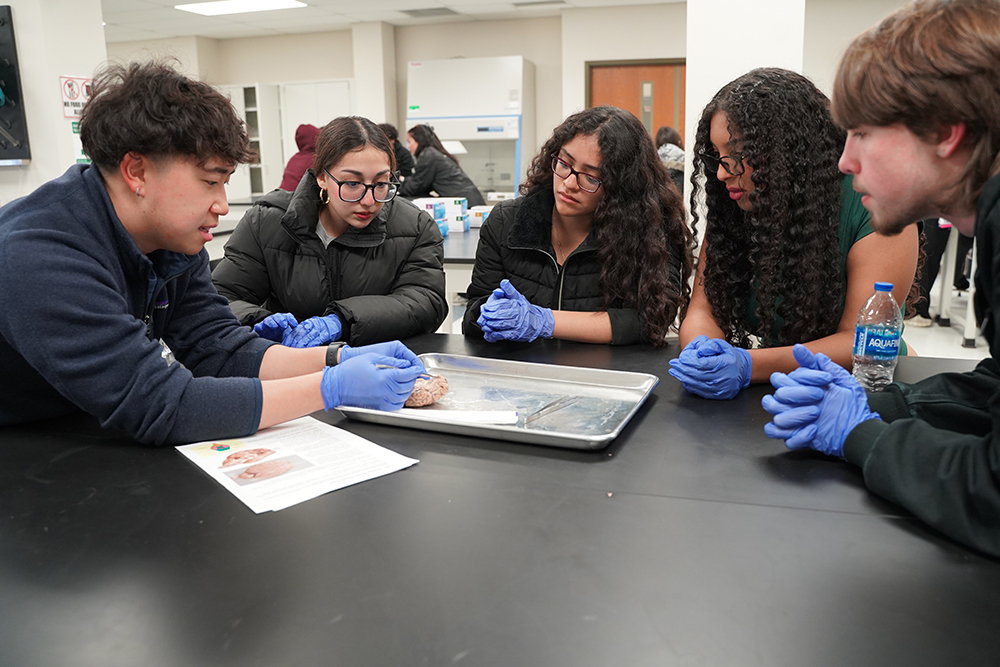 Students from Avondale High School learning from an OUWB student