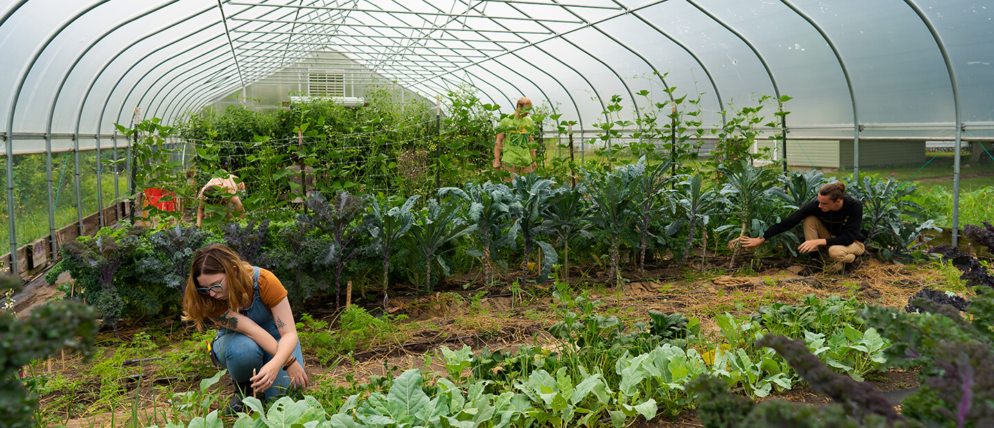 LORACS Banner People working with plants in a greenhouse.