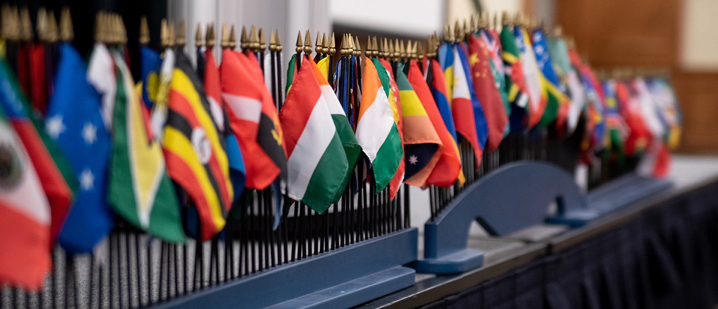 International Programs A display of flags of many different countries