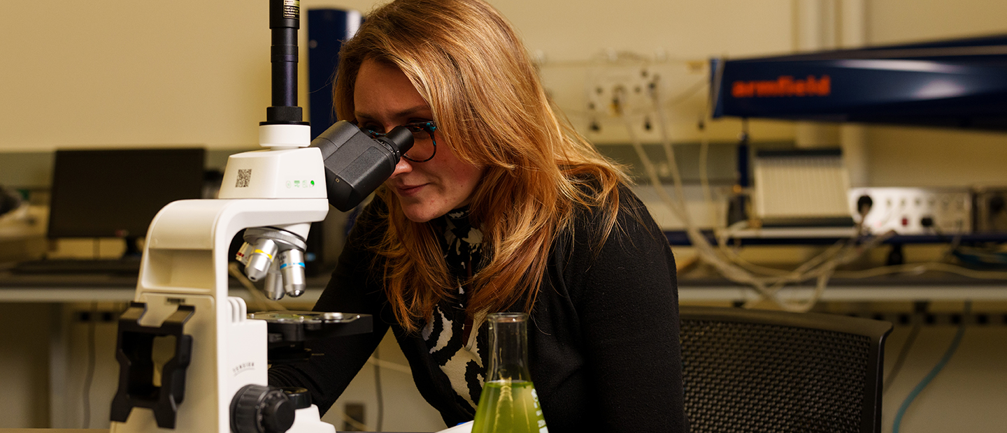 Masters Programs A woman looking into a microscope