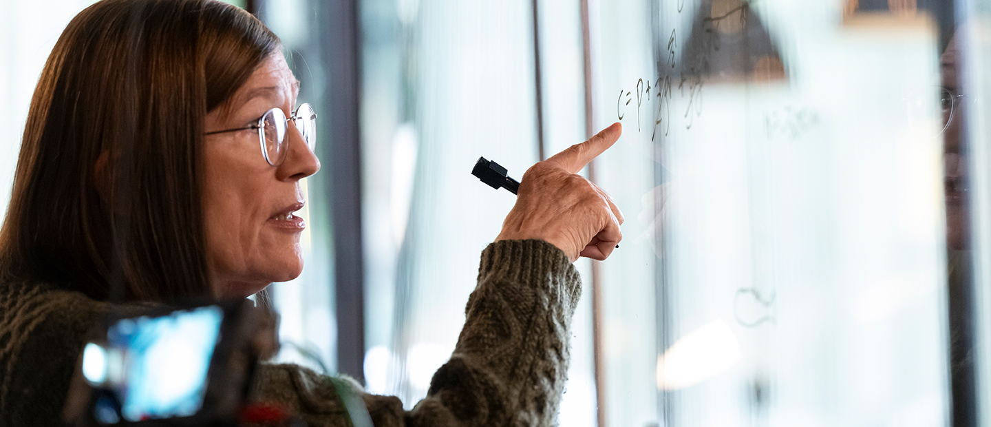 SECS Master of Science Programs ISE Banner A woman writing on a white board
