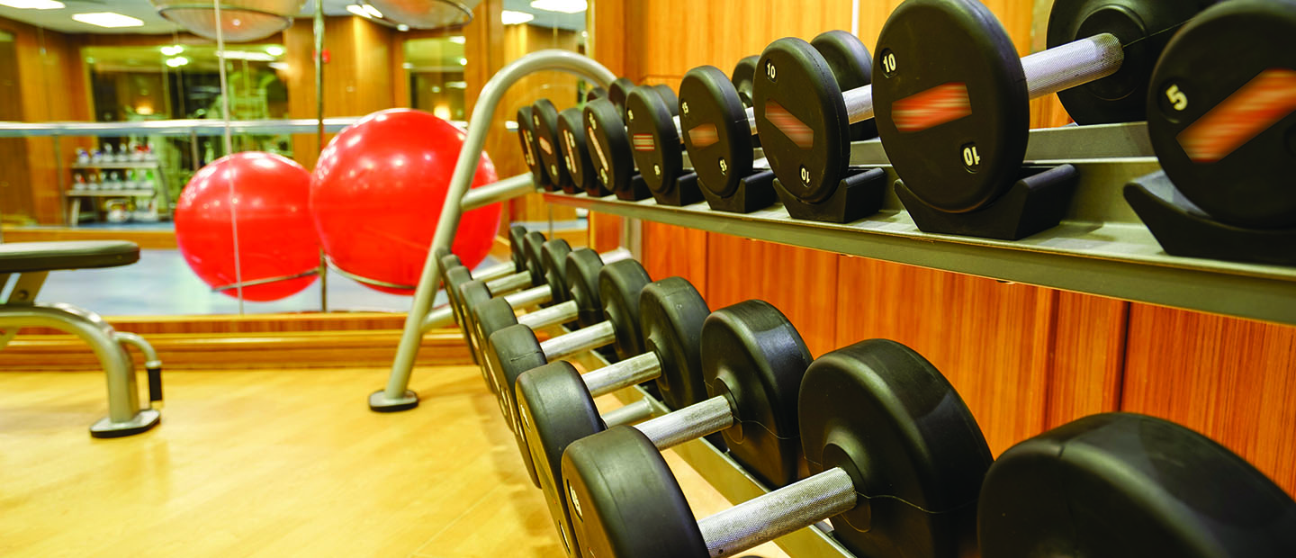 weights and exercise ball Workout room with wall of weights and exercise ball