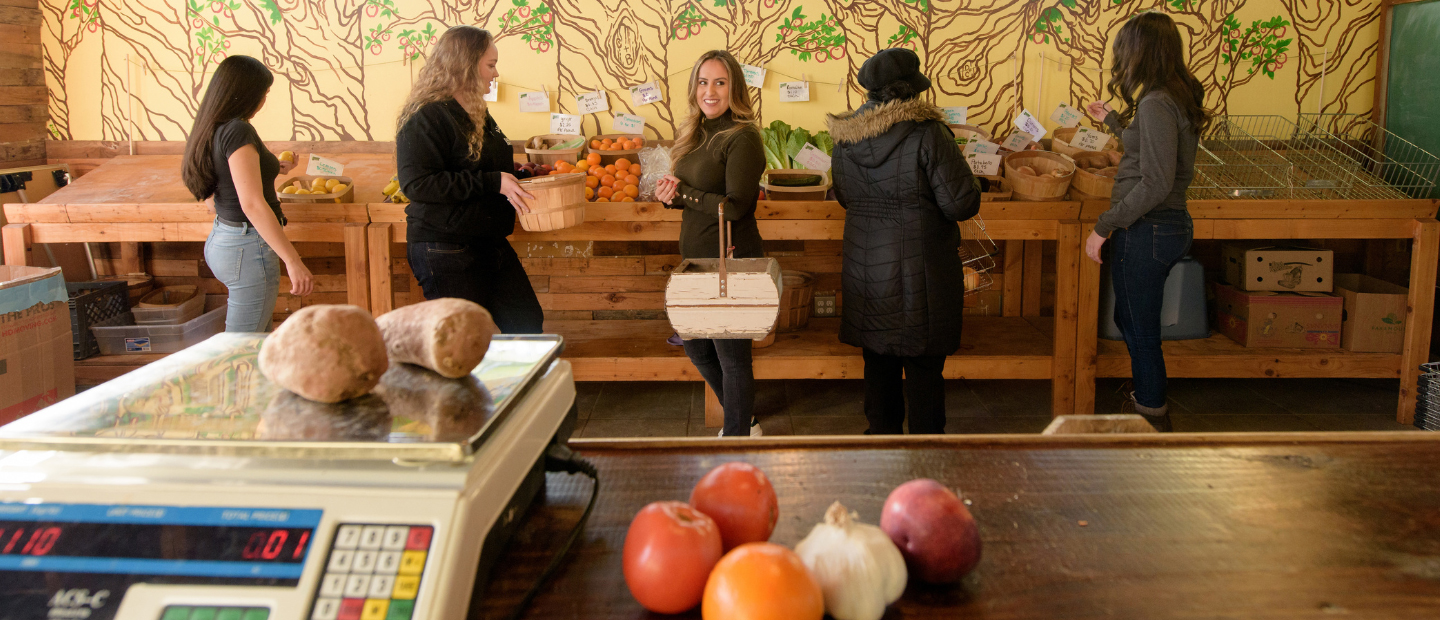 farmer's market image Women shopping at a farmer's market.