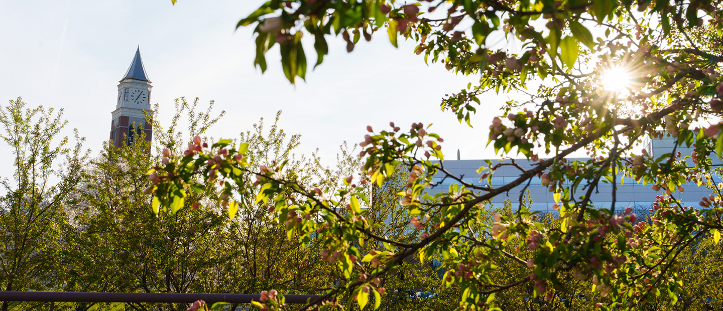 Non-ResAwardWebpageBanner5.jpg Shot of Elliot Tower behind leaves