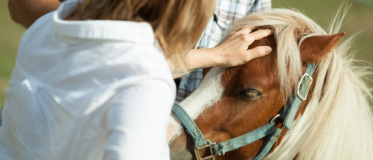 Animal Assited Therapy.jpg woman petting a horse's head